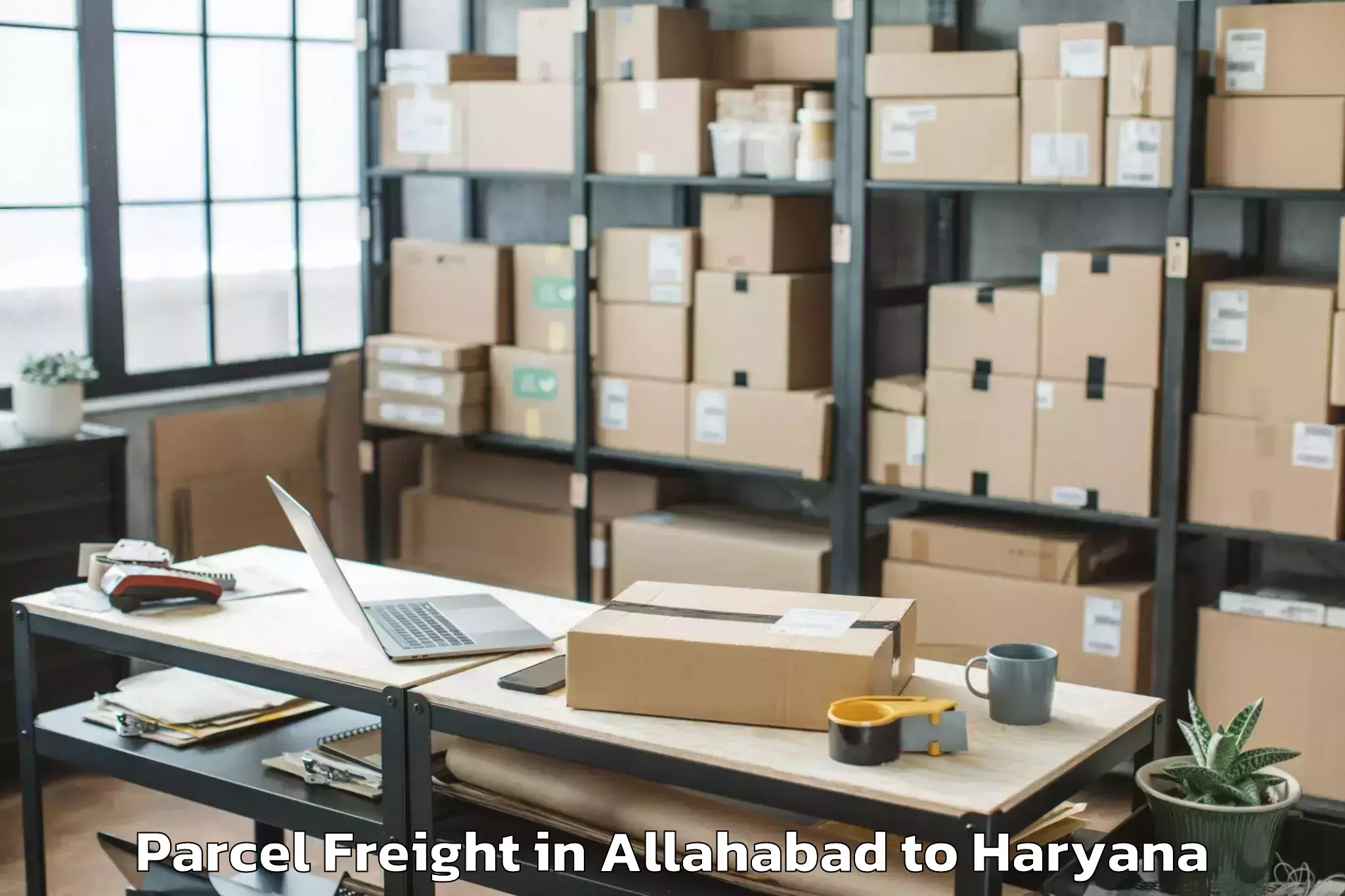 Easy Allahabad to Eros Ef3 Mall Parcel Freight Booking